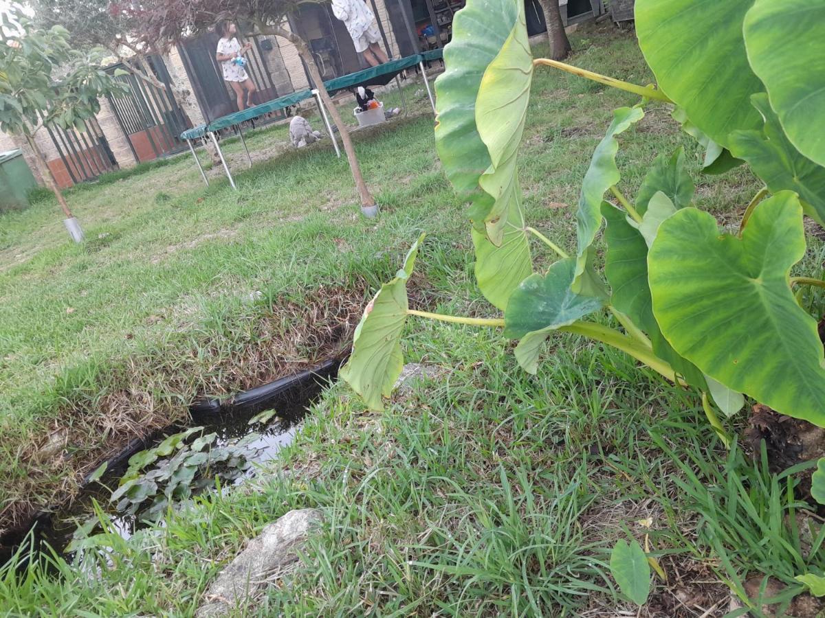 La Casa De Las Ranas โปโย ภายนอก รูปภาพ