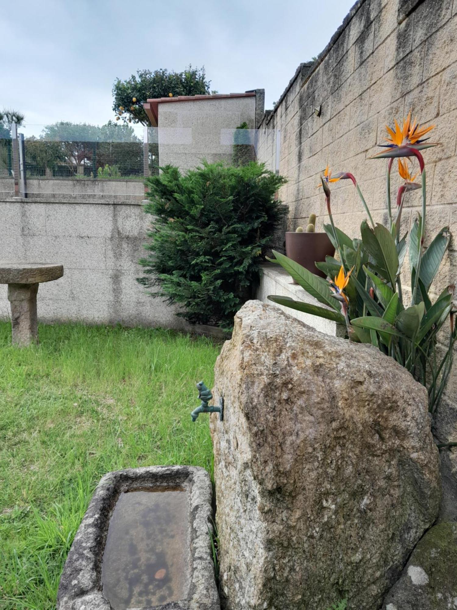 La Casa De Las Ranas โปโย ภายนอก รูปภาพ