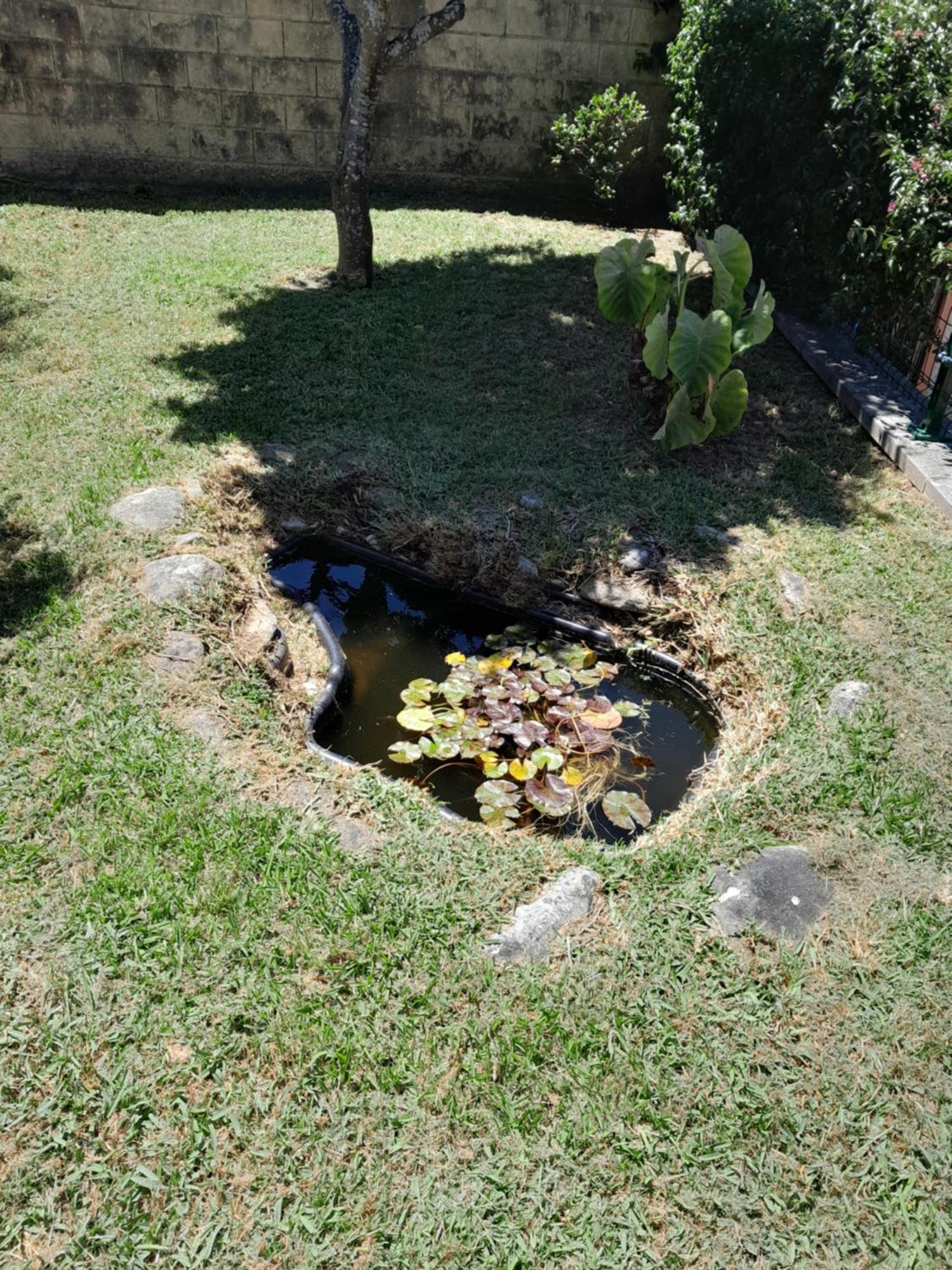 La Casa De Las Ranas โปโย ภายนอก รูปภาพ